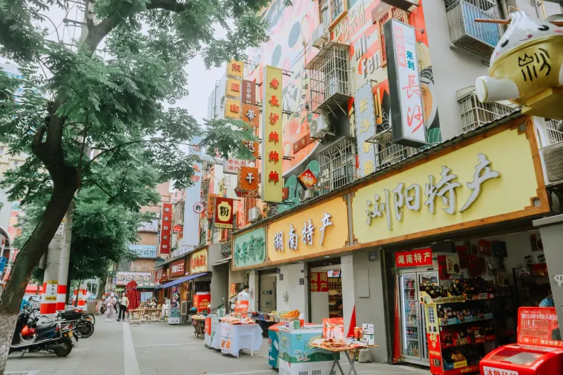 2024年上海建材贸易市场管材阀门价格走势与采购建议