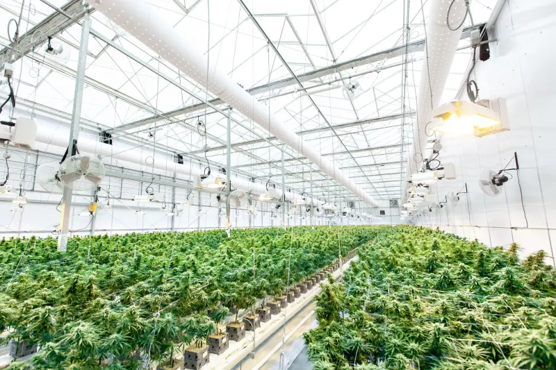上海水电工程管材阀门选型指南：建材贸易采购要点解析